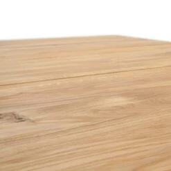 Table Dixiana -Reflet Maison 1000224897 201016 12384000254 DETAILS P000000001000224897