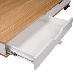 Bureau Lomma -Reflet Maison 1000310906 220831 042 DETAILS P000000001000310906